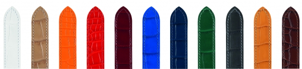 remienok Voyager selection